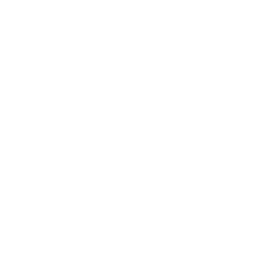 Performance - Assessoria e Sindicância - logotipo negativo
